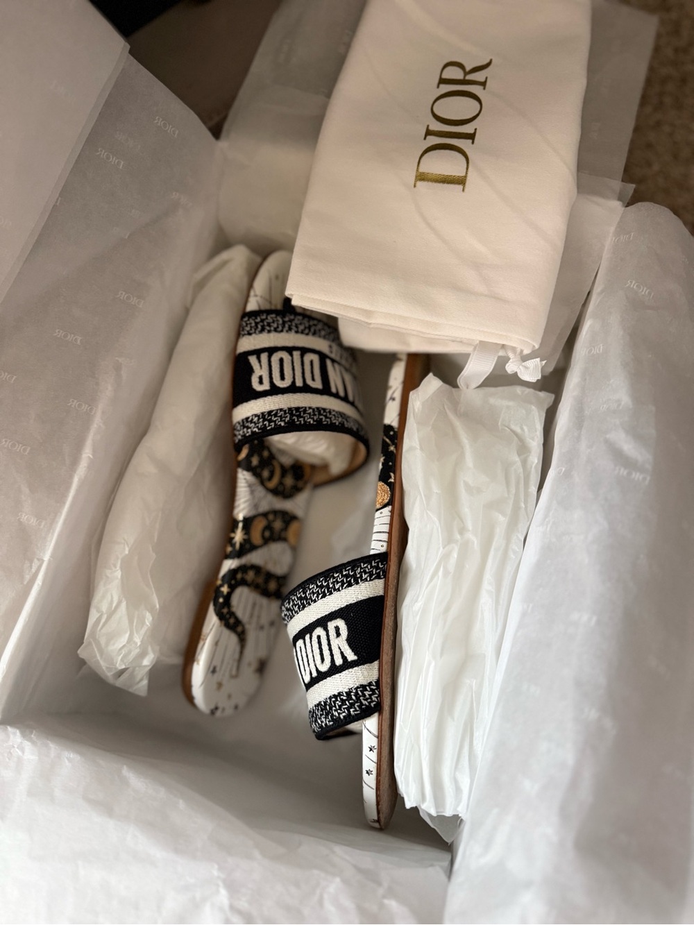 Dior lunar new year capsule DWAY slides (year of the snake, 2025) - Picture 12 of 13
